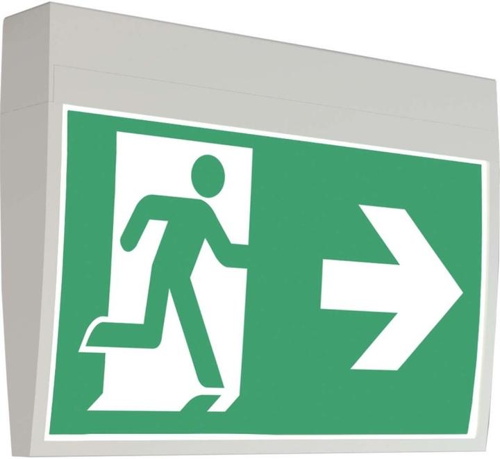 Actual product image Rp-Group LED escape sign luminaire