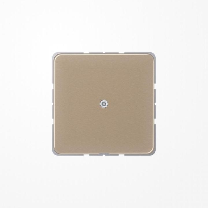 Actual product image JUNG Insert cable outlet CD go/brz glz CD590AGB