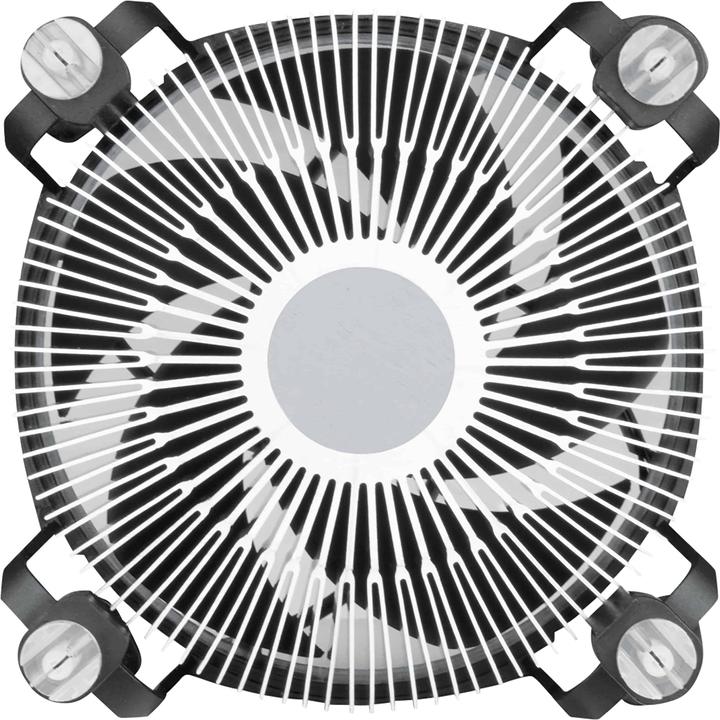 Productafbeelding Arctic Alpine 17 CO (77 mm)