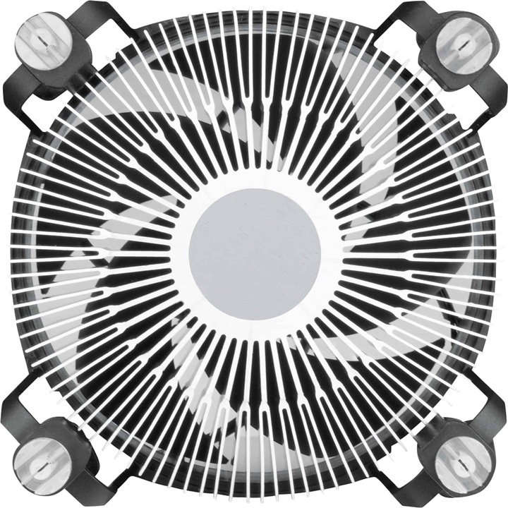 Actual product image Arctic Alpine 17 CO (77 mm)