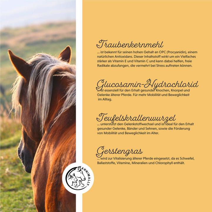 Produktbild Annimally Senior Vital Pulver (800 g)