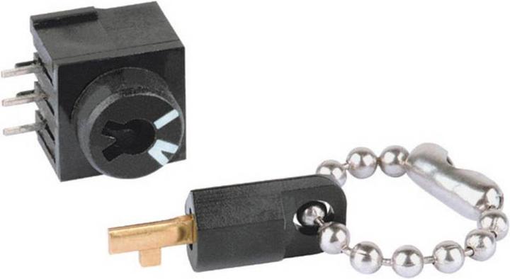 Actual product image Mentor Miniature key switch 60 V/DC/AC 0.5 A THT