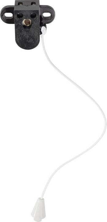 Actual product image interBär Built-in pull switch