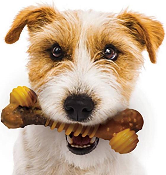 Immagine prodotto Nylabone Struttura estrema Bone S (Gioco da masticare per cani)