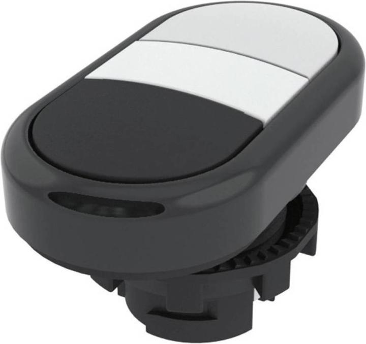 Actual product image Pizzato Elettrica Double pushbutton illuminable E21PD