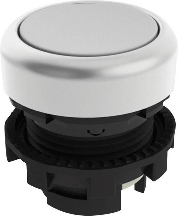 Immagine prodotto Pizzato Elettrica Pulsante piatto E21PU2R