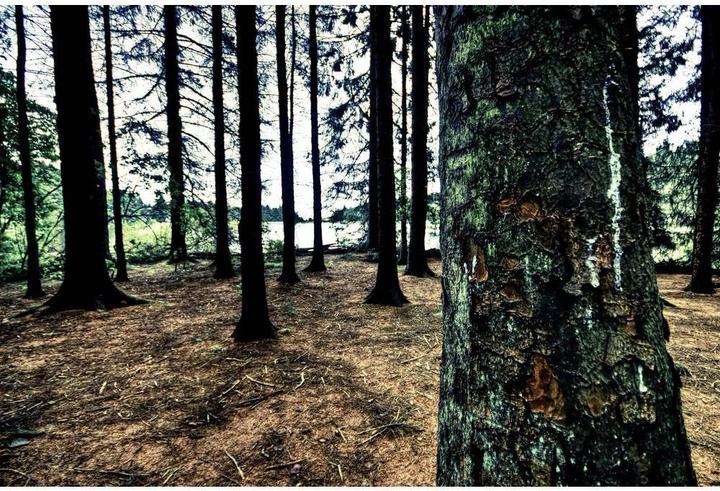 Produktbild Highlander Kompass Lensatic