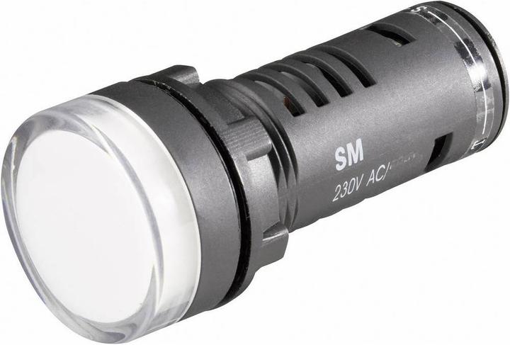 Barthelme LED Pilot Light 22 mm