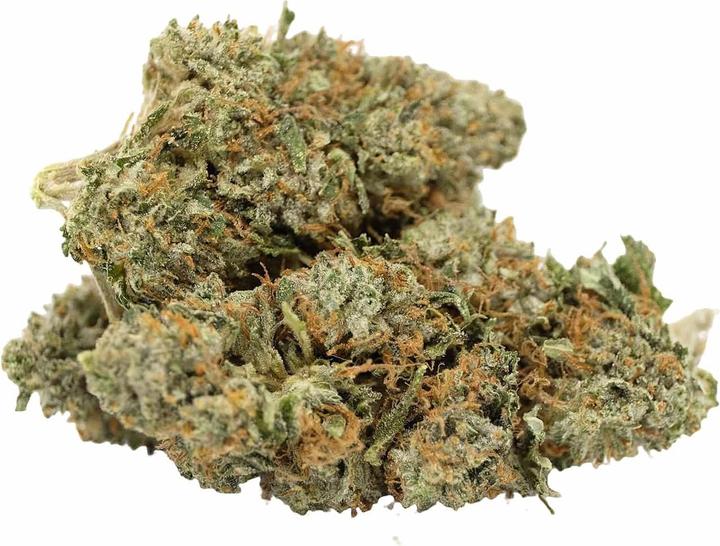 Produktbild Genuine Swiss Swiss Red Bud (1 g, Indoor)