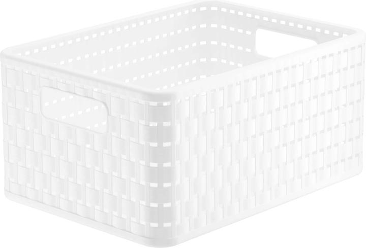 Immagine prodotto Rotho Paese (23.80 cm, 1x)