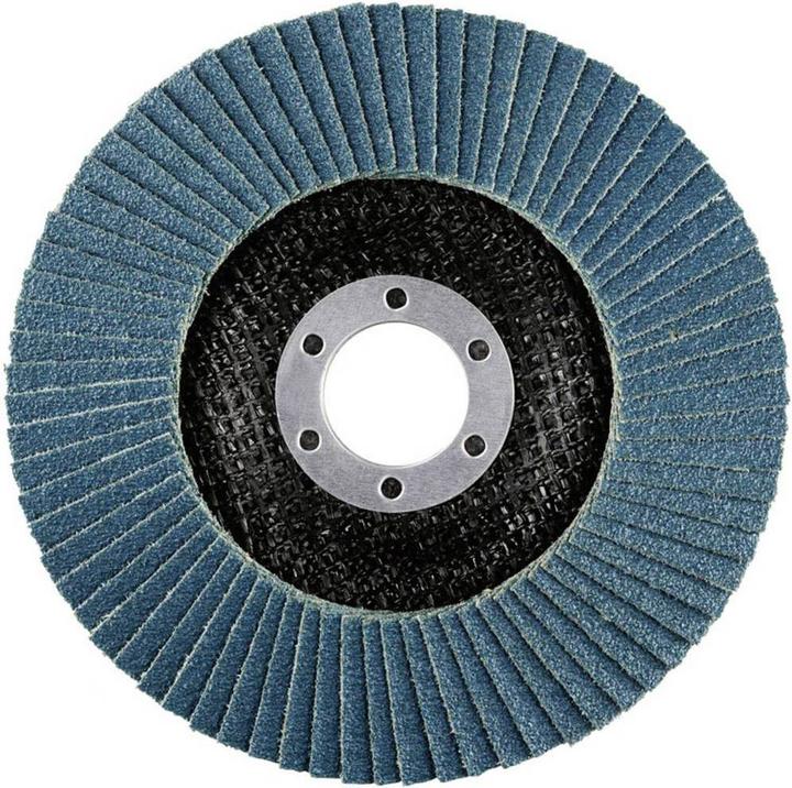 Produktbild Rhodius LSZ F3 Fächerscheibe 125 x 22.23 - P60 (60)