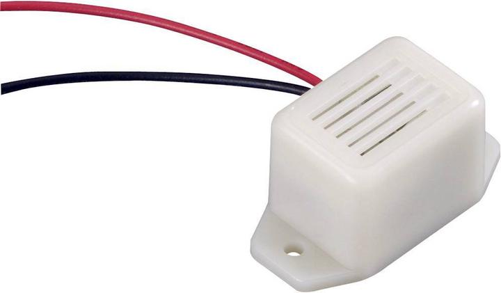 Actual product image No Name Miniature buzzer