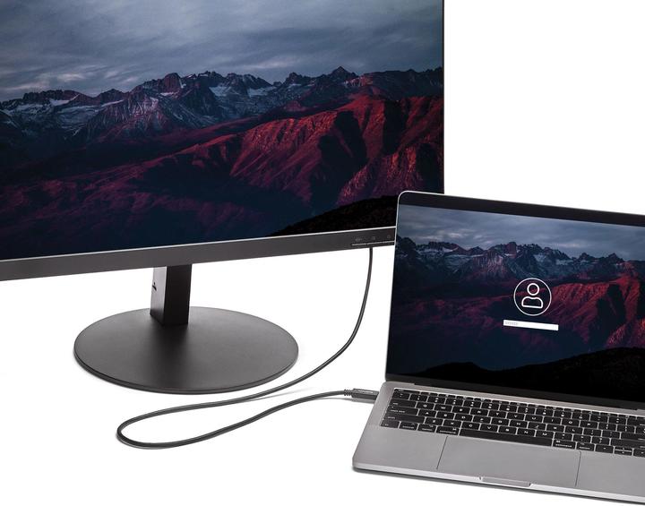 Immagine prodotto StarTech USB Typ C — DVI (2 m)