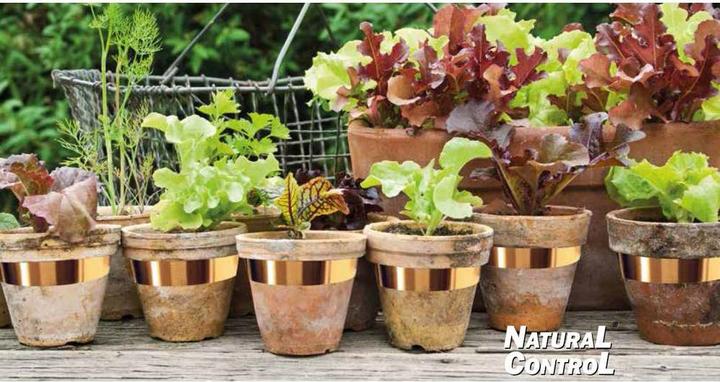 Produktbild Swissinno Schneckenkupferband 3cm x 5m