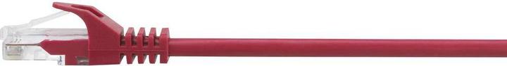 Actual product image Renkforce RF-5044012 RJ45 network cable, patch cable CAT 5e U/UTP 3.00 m Red with (U/UTP, CAT5e, 3 m)