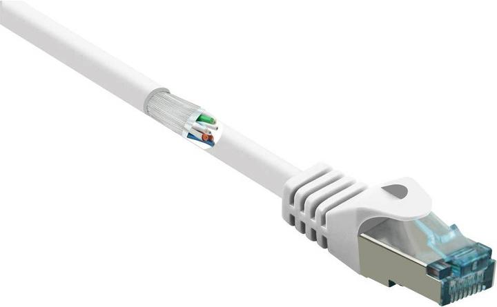 Produktbild Renkforce RF-5047452 RJ45 Netzwerkkabel, Patchkabel CAT 6a S/FTP 0.50 m Weiss Flammwidrig 1 St. (S/FTP, CAT6a, 0.50 m)