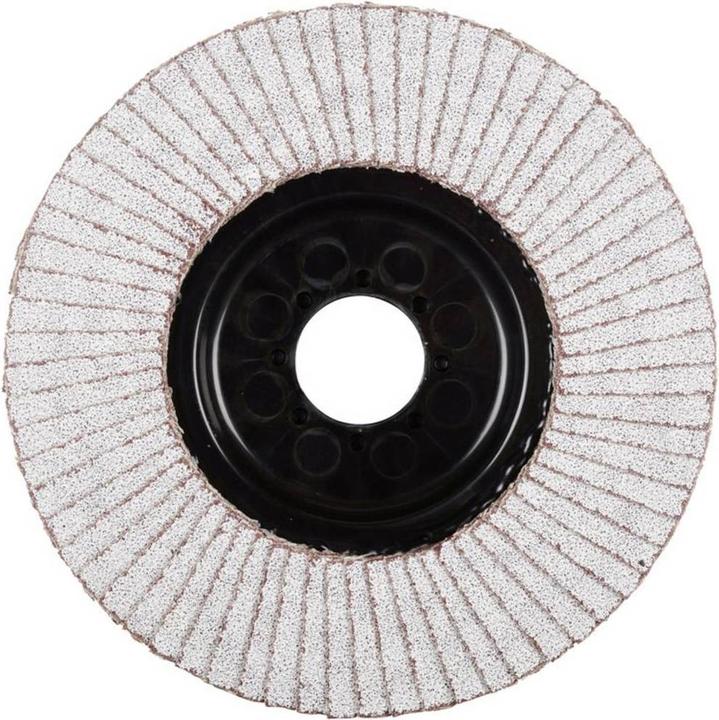 Produktbild Rhodius LGA ALU Fächerscheibe 125 x 22.23 - P60 (60)