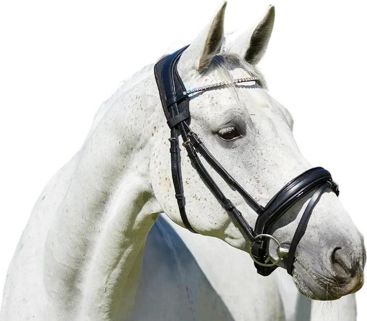 Actual product image Weatherbeeta Therapy-Tec Anatomy Poll Pad