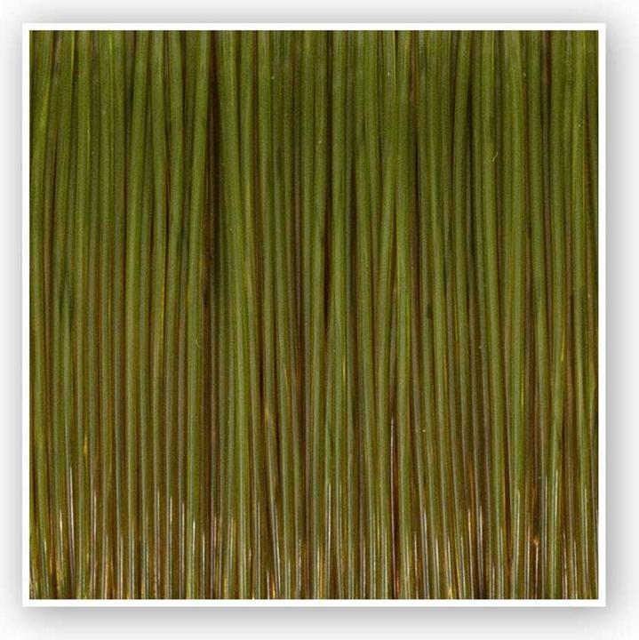 Immagine prodotto Zebco Trofeo luccio (12.70 kg, 0.40 mm)