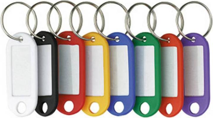 Actual product image Alco Key ring 4.8 x 2.2 cm (W x H) plastic 10 pcs/pack