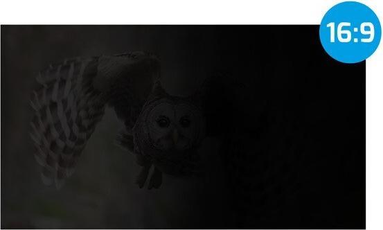 Produktbild Genesis NATEC FILTR PRYWATYZUJĄCY OWL 17.3 16:9 (15.08", 16 : 9)