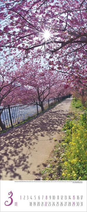 Produktbild Zauberhafte Wege 2026 (28.5 x 69 cm, Harter Einband, Deutsch)