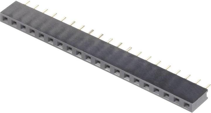 Actual product image BKL Electronic Single row female connector RM 2.54 mm