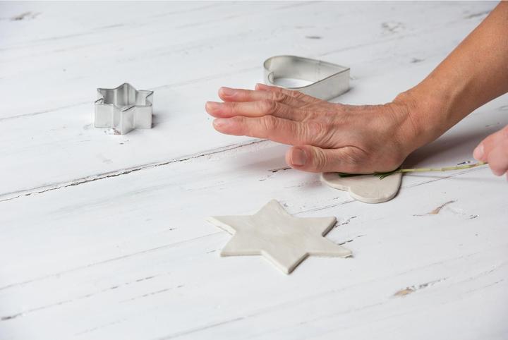 Actual product image Kaiser Cookie Cutter in Storage Box