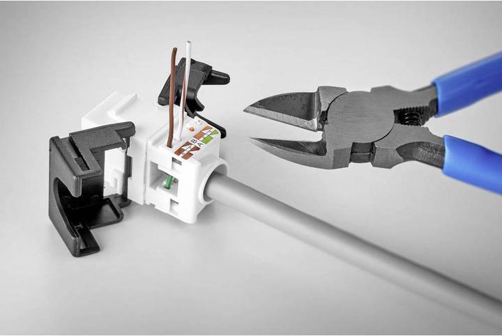 Image du produit Renkforce Module Keystone CAT6A sans outil (Accessoires réseau)