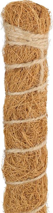 Immagine prodotto Relaxdays Bastoncini di cocco (4 cm, 4 cm)
