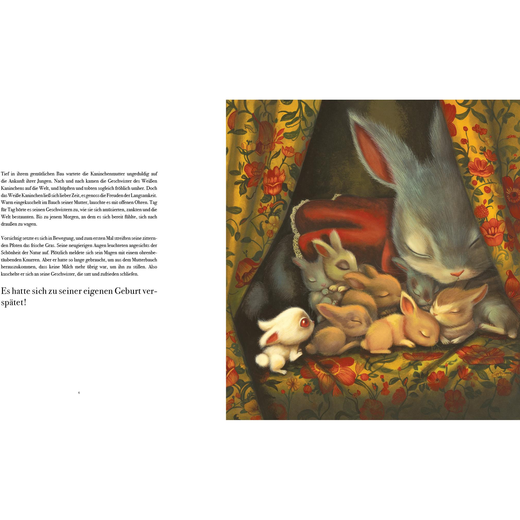 Thumbnail - Das Weisse Kaninchen kommt zu spät, Kinderbücher von Benjamin Lacombe