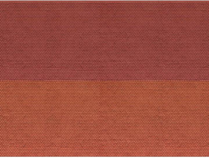 Image du produit Noch Plaque carton 3D N Biberschwanz