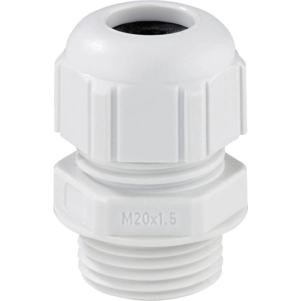 Spelsberg, Kabelverbindung, Kabelverschraubung