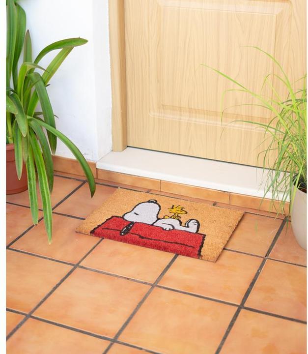 Image du produit Erik Snoopy - Dormir sur le toit (60 x 40 cm)