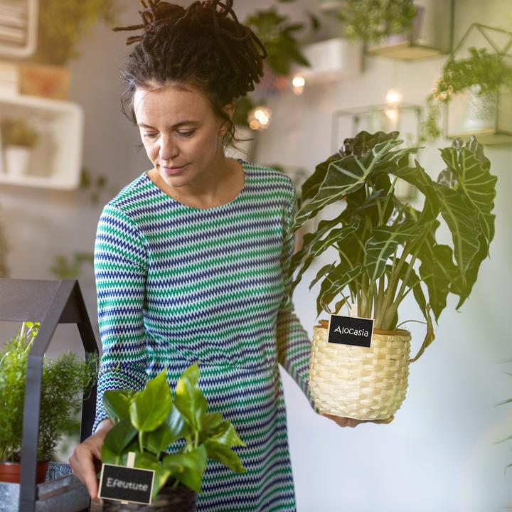 Immagine prodotto Relaxdays lavagnette-segnaposto (1.50 cm, 7.50 cm)