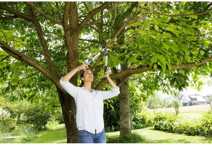 Image du produit Gardena Cisaille de branchement EasyCut 500B