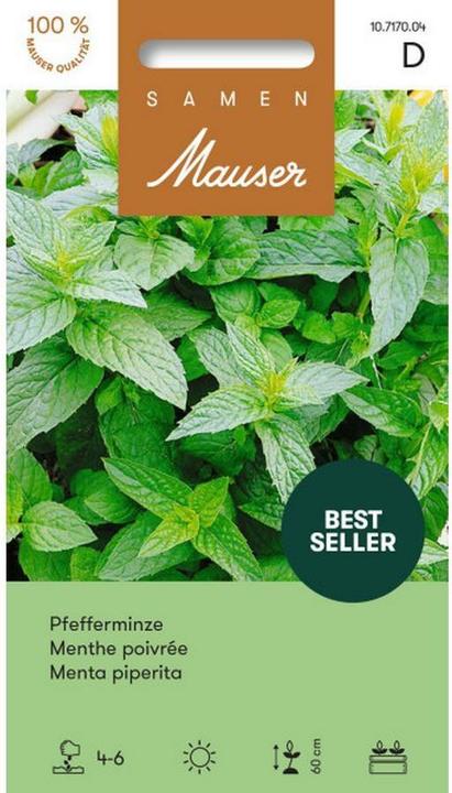 Actual product image Samen Mauser Peppermint (Herb seeds)