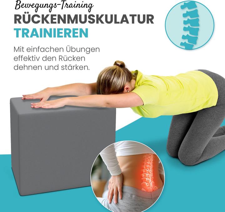 Produktbild Aktivshop Bandscheibenwürfel