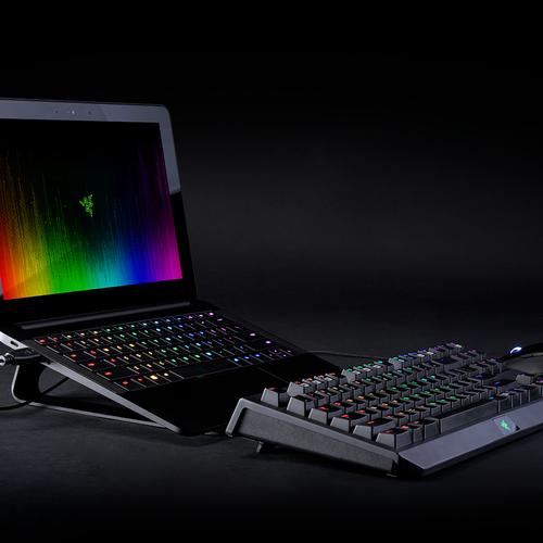 Actual product image Razer Laptop Stand