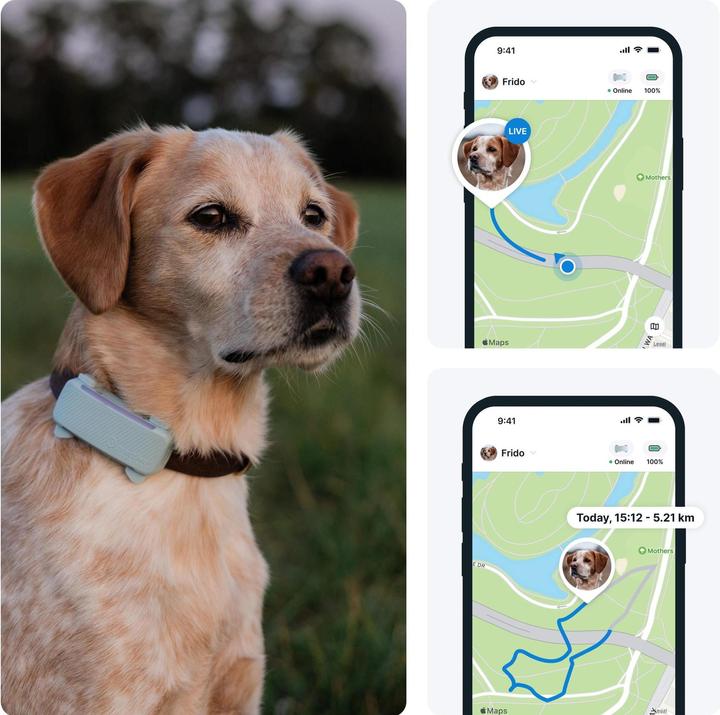 Immagine prodotto Tractive GPS Tracker Dog 6 (Cane)