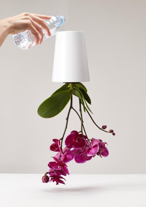 Actual product image boskke Sky Planter (9.50 cm)