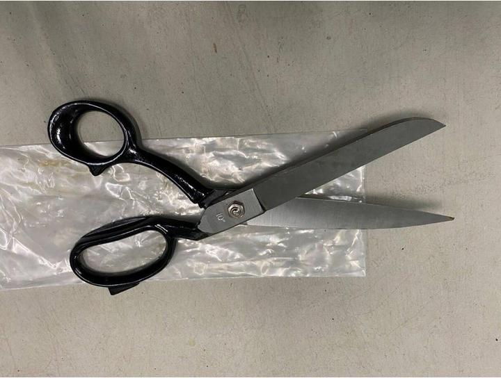 Produktbild Erdi Arbeitsschere D860-250 (25 cm)