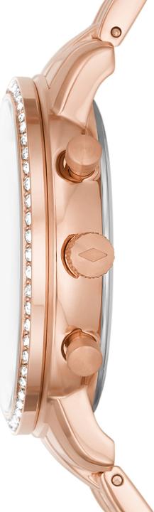 Image du produit Fossil Neutra (Chronographe, 36 mm)