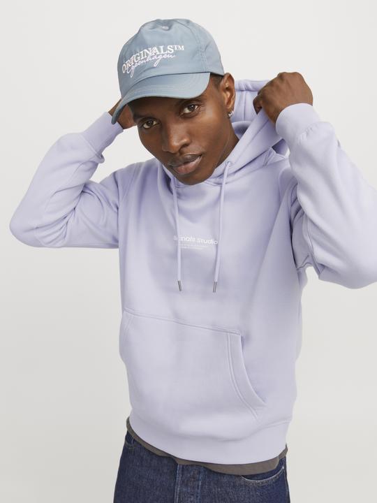 Produktbild Jack & Jones Gedruckt Kapuzenpullover Kapuzenpullover (M)