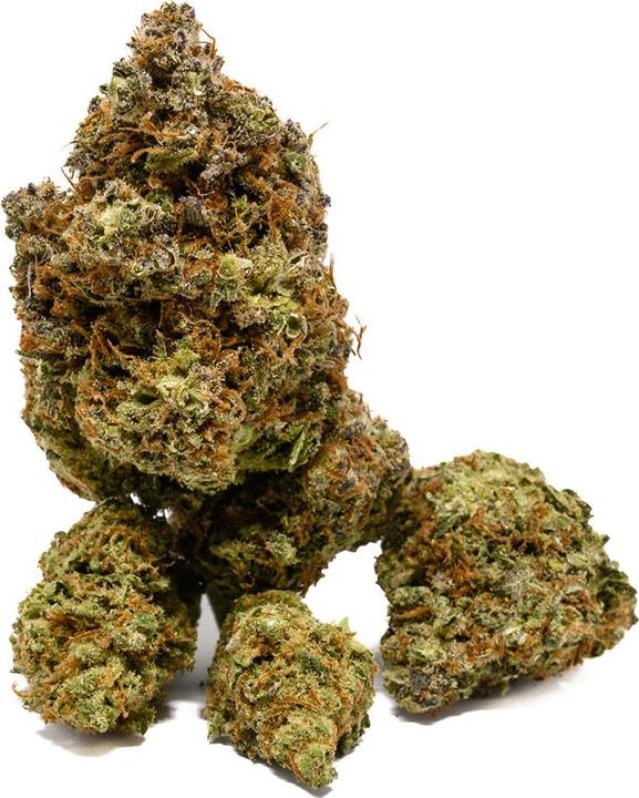 Actual product image First Class Real Taste One (12 g, Indoor)