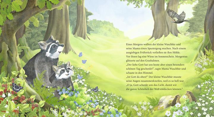 Produktbild Der kleine Waschbär fragt nach Gott – ein Bilderbuch für Kinder ab 2 Jahren (Deutsch, Lea Kässmann, 2020)