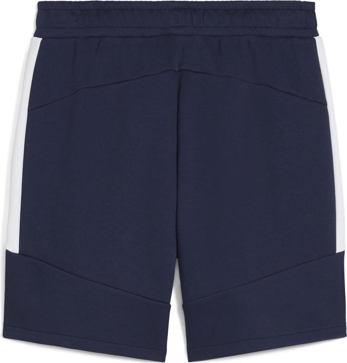 Actual product image Puma teamEVOSTRIPE Shorts (L)