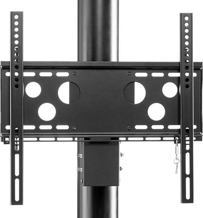 Hagor PLW SERIES - Montagedeel (Kolomadapter) voor LCD-scherm - Zwart - Afbeeldingen (55", 30 kg)