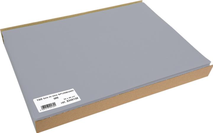 Image du produit PROnappe Set de table jetable Spunbond, 400 x 300 mm, gris (100 pcs, 30 x 40 cm)