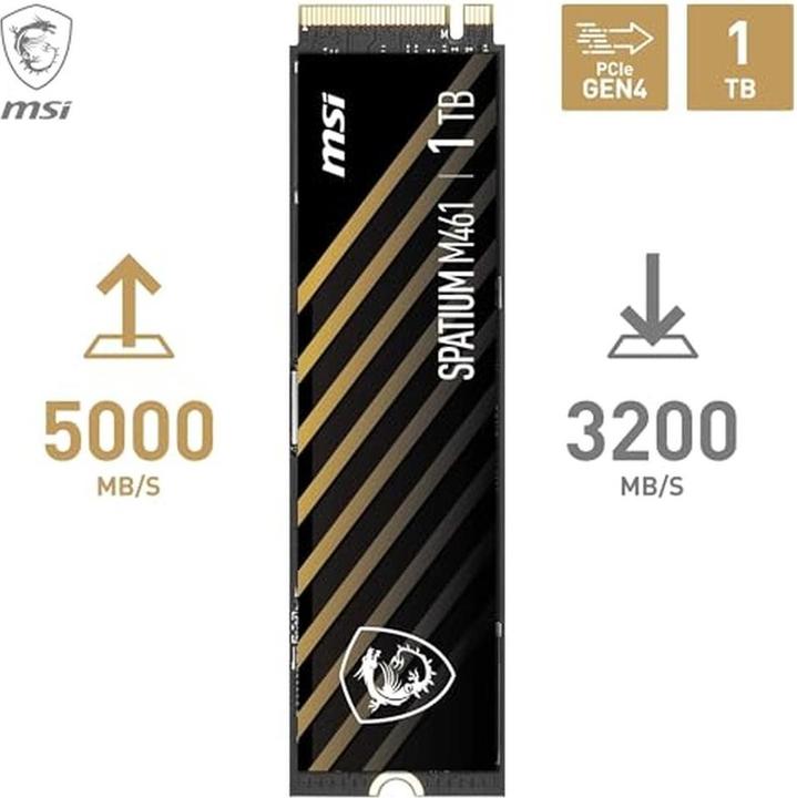 Image du produit MSI Spatium M461 (1000 Go, M.2)